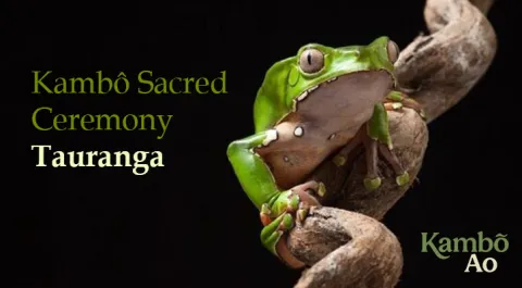 Kambo Tauranga