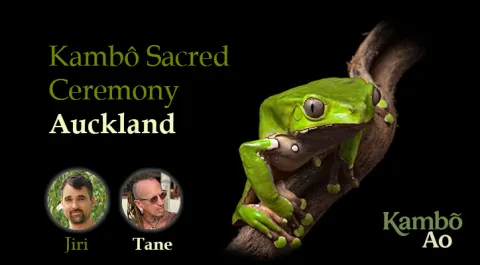 Kambo Auckland