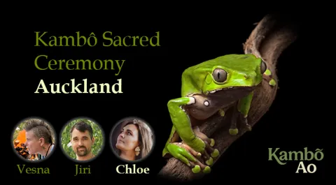 Kambo Auckland